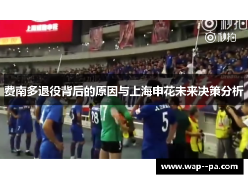 费南多退役背后的原因与上海申花未来决策分析