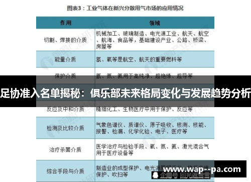 足协准入名单揭秘：俱乐部未来格局变化与发展趋势分析