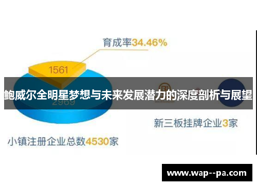 鲍威尔全明星梦想与未来发展潜力的深度剖析与展望