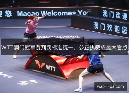 WTT澳门冠军赛判罚标准统一，公正执裁成最大看点