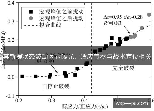 某新援状态波动因素曝光，适应节奏与战术定位相关